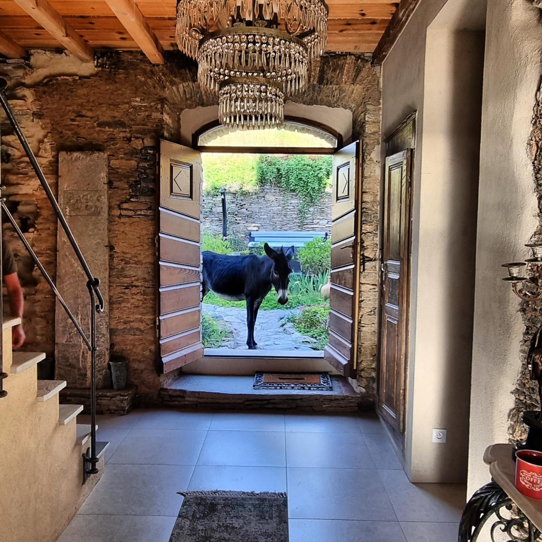 Domaine Colonna Santini ,Chambre D Hotes Piscine, Sauna, Spa Porri Dış mekan fotoğraf