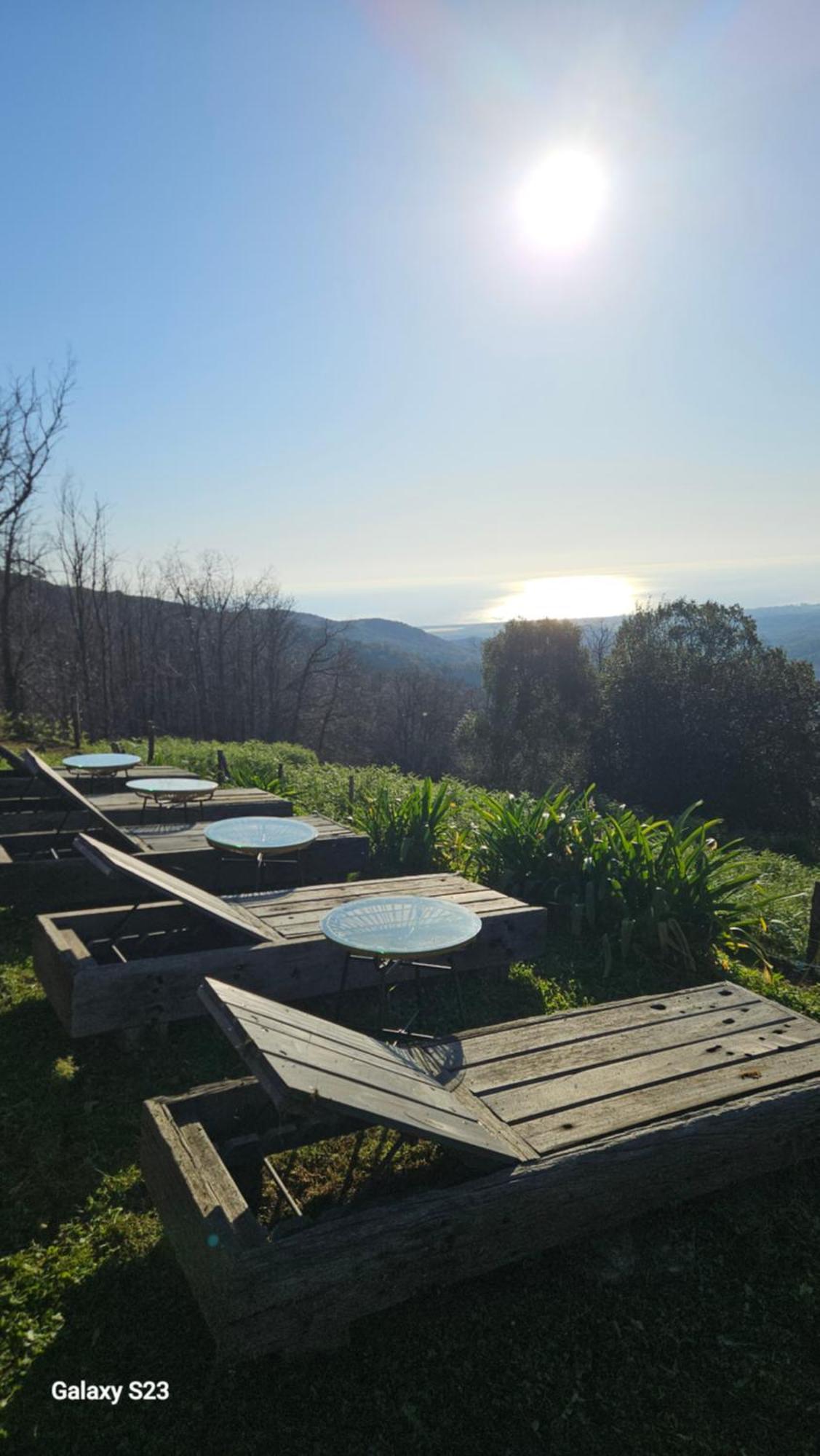 Domaine Colonna Santini ,Chambre D Hotes Piscine, Sauna, Spa Porri Dış mekan fotoğraf